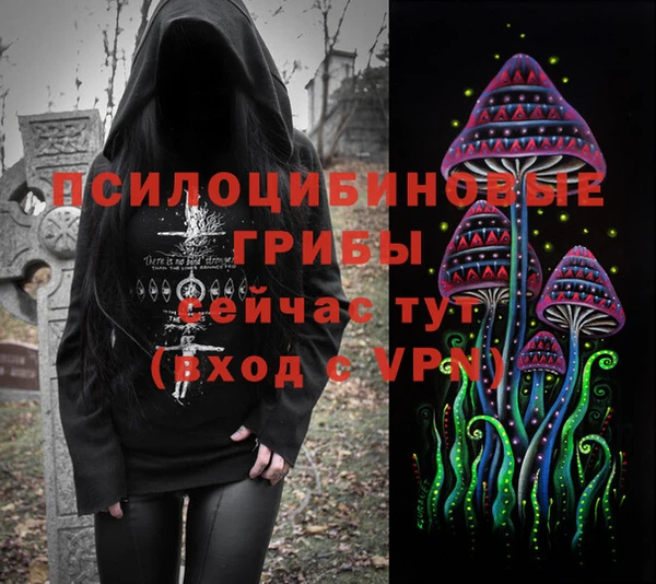 синтетический гашиш Новозыбков
