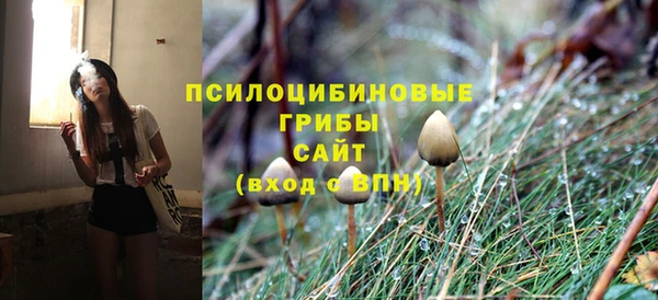 эйфоретик Новодвинск