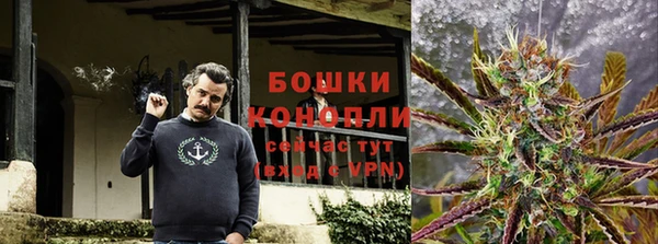 эйфоретик Новодвинск