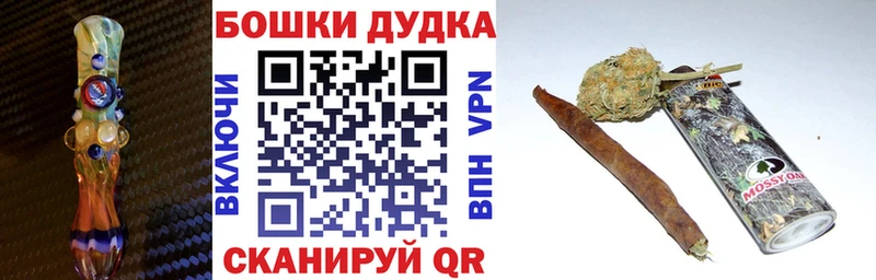 mega как зайти  Куртамыш  Каннабис план  как найти закладки 